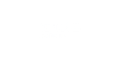 Česká spořitelna